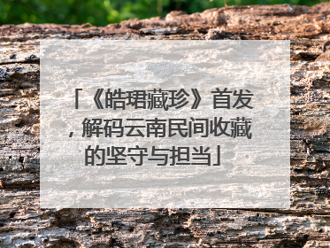 《皓珺藏珍》首发，解码云南民间收藏的坚守与担当