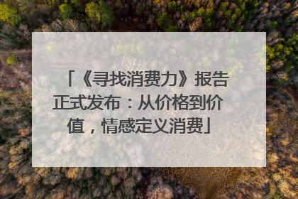 《寻找消费力》报告正式发布：从价格到价值，情感定义消费
