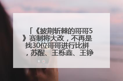《披荆斩棘的哥哥5》赛制将大改，不再是找30位哥哥进行比拼，苏醒、王栎鑫、王铮亮、张远等多名男团选手被曝将参加