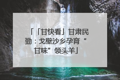 「甘快看」甘肃民勤：戈壁沙乡孕育“甘味”领头羊