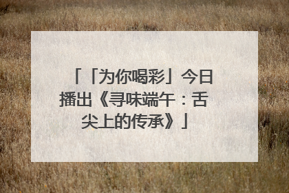 「为你喝彩」今日播出《寻味端午：舌尖上的传承》