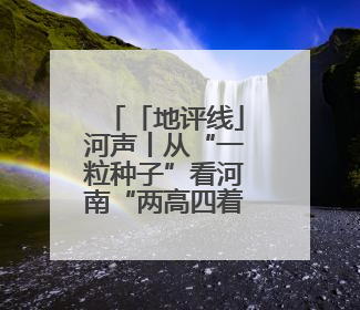 「地评线」河声丨从“一粒种子”看河南“两高四着力”的落地生根