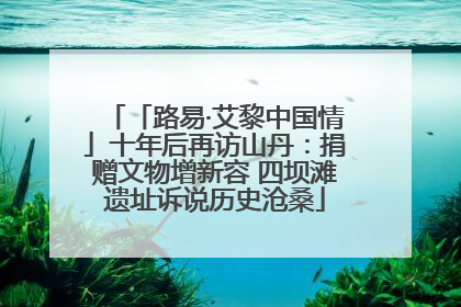 「路易·艾黎中国情」十年后再访山丹：捐赠文物增新容 四坝滩遗址诉说历史沧桑