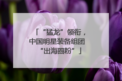 “猛龙”领衔，中国明星装备组团“出海圈粉”