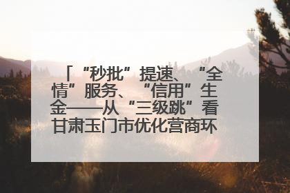 “秒批”提速、“全情”服务、“信用”生金——从“三级跳”看甘肃玉门市优化营商环境的进阶之路