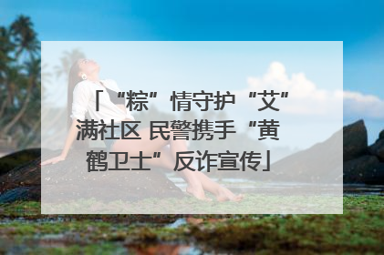 “粽”情守护“艾”满社区 民警携手“黄鹤卫士”反诈宣传