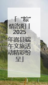 “粽”情洛阳丨2025年嵩县端午文旅活动精彩纷呈