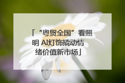 “粤贸全国”看照明 AI灯饰撬动情绪价值新市场