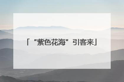 “紫色花海”引客来