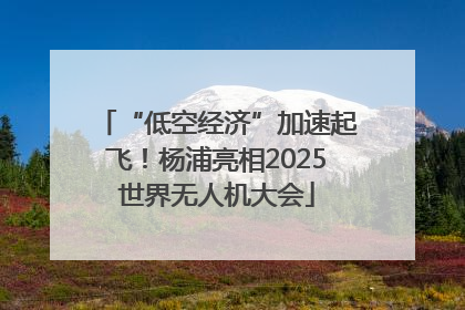 “低空经济”加速起飞！杨浦亮相2025世界无人机大会