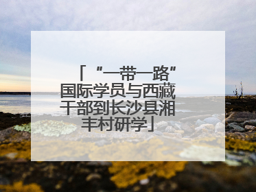 “一带一路”国际学员与西藏干部到长沙县湘丰村研学