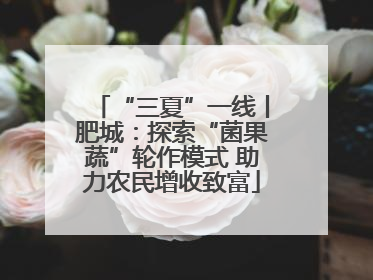 “三夏”一线丨肥城：探索“菌果蔬”轮作模式 助力农民增收致富
