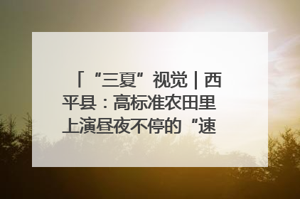 “三夏”视觉｜西平县：高标准农田里上演昼夜不停的“速度与激情”