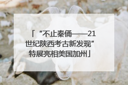 “不止秦俑——21世纪陕西考古新发现”特展亮相美国加州
