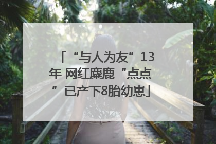 “与人为友”13年 网红麋鹿“点点”已产下8胎幼崽