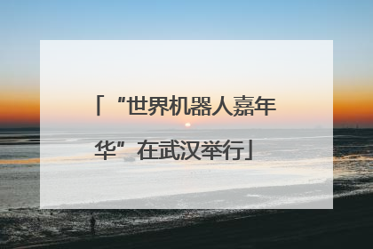“世界机器人嘉年华”在武汉举行