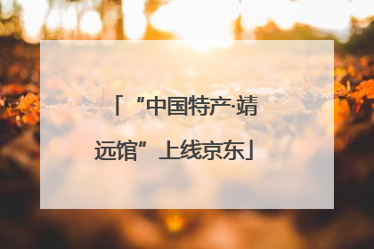 “中国特产·靖远馆”上线京东