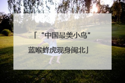 “中国最美小鸟”蓝喉蜂虎现身闽北