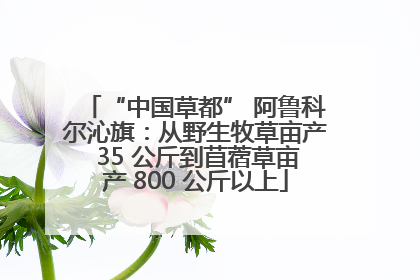 “中国草都” 阿鲁科尔沁旗：从野生牧草亩产 35 公斤到苜蓿草亩产 800 公斤以上