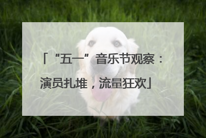 “五一”音乐节观察：演员扎堆，流量狂欢