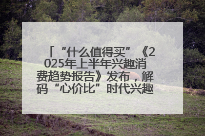 “什么值得买”《2025年上半年兴趣消费趋势报告》发布，解码“心价比”时代兴趣消费新范式