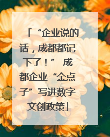 “企业说的话，成都都记下了！” 成都企业“金点子”写进数字文创政策