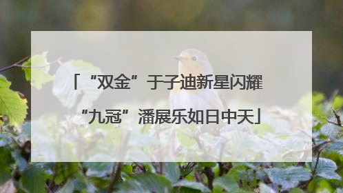 “双金”于子迪新星闪耀 “九冠”潘展乐如日中天