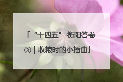 “十四五”·衡阳答卷③｜收粮时的小插曲