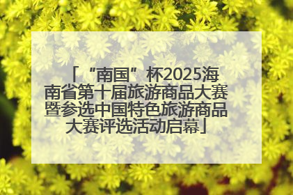 “南国”杯2025海南省第十届旅游商品大赛暨参选中国特色旅游商品大赛评选活动启幕