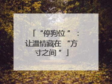 “停狗位 ”：让温情藏在 “方寸之间 ”