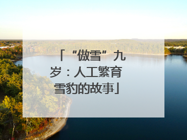 “傲雪”九岁：人工繁育雪豹的故事