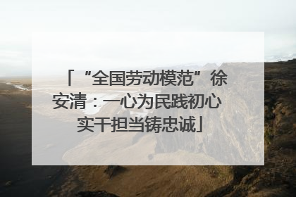 “全国劳动模范”徐安清：一心为民践初心 实干担当铸忠诚