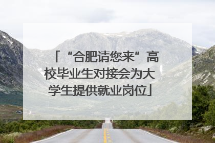 “合肥请您来”高校毕业生对接会为大学生提供就业岗位