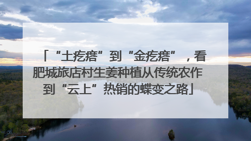“土疙瘩”到“金疙瘩”，看肥城旅店村生姜种植从传统农作到“云上”热销的蝶变之路
