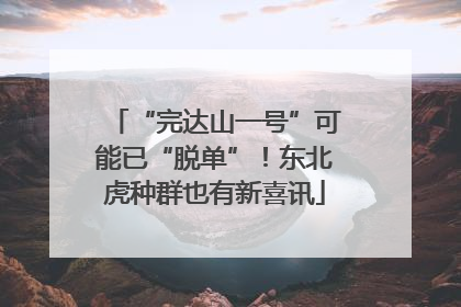 “完达山一号”可能已“脱单”！东北虎种群也有新喜讯