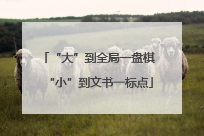 “大”到全局一盘棋 “小”到文书一标点