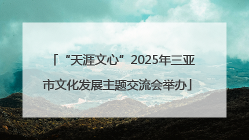 “天涯文心”2025年三亚市文化发展主题交流会举办