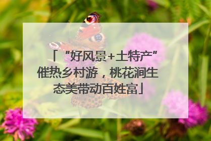 “好风景+土特产”催热乡村游，桃花涧生态美带动百姓富