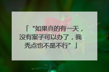 “如果真的有一天，没有案子可以办了，我秃点也不是不行”