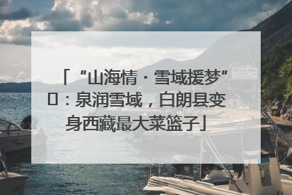 “山海情・雪域援梦”⑪：泉润雪域，白朗县变身西藏最大菜篮子