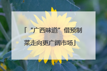 “广西味道”借预制菜走向更广阔市场