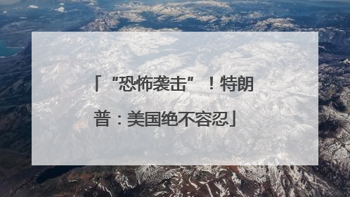 “恐怖袭击”！特朗普：美国绝不容忍