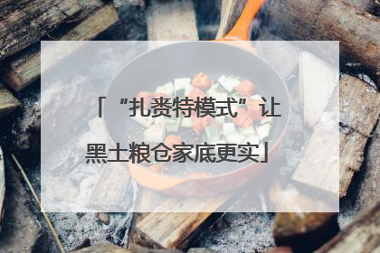 “扎赉特模式”让黑土粮仓家底更实