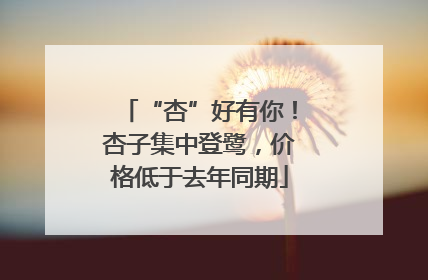 “杏”好有你！杏子集中登鹭，价格低于去年同期
