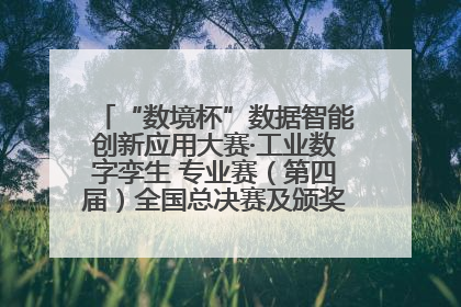 “数境杯”数据智能创新应用大赛·工业数字孪生 专业赛（第四届）全国总决赛及颁奖典礼成功举办
