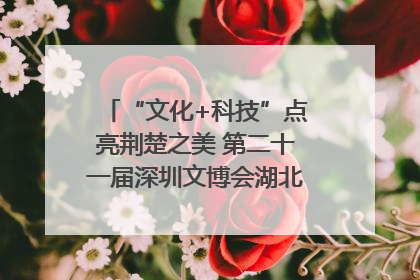 “文化+科技”点亮荆楚之美 第二十一届深圳文博会湖北馆抢“鲜”看