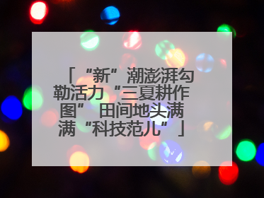 “新”潮澎湃勾勒活力“三夏耕作图” 田间地头满满“科技范儿”