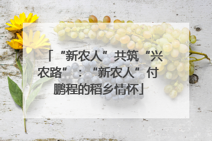 “新农人”共筑“兴农路”：“新农人”付鹏程的稻乡情怀