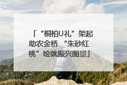 “桐柏U礼”架起助农金桥 “朱砂红桃”绘就振兴图景