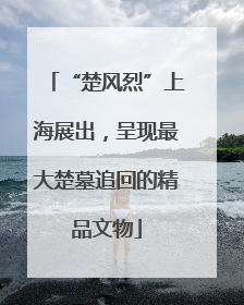 “楚风烈”上海展出，呈现最大楚墓追回的精品文物